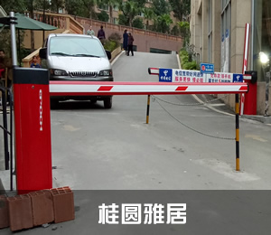 ���峵��ʶ��ϵͳ